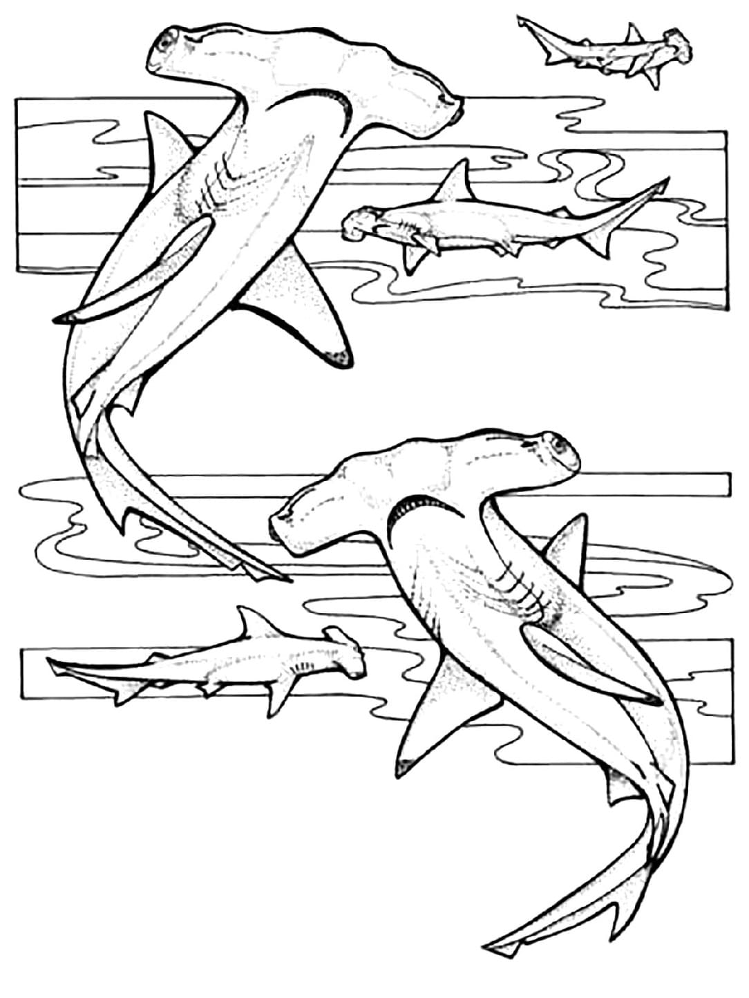 Raskrasil.com-Shark-Coloring-Pages-16