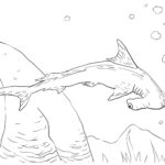 Raskrasil.com-Shark-Coloring-Pages-20