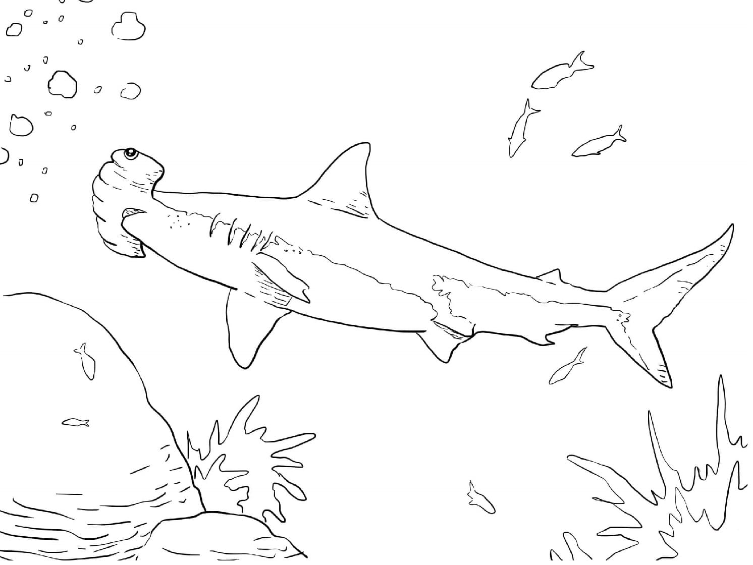 Raskrasil.com-Shark-Coloring-Pages-22