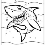 Raskrasil.com-Shark-Coloring-Pages-41