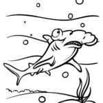 Raskrasil.com-Shark-Coloring-Pages-45
