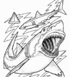 Raskrasil.com-Shark-Coloring-Pages-49