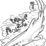 Raskrasil.com-Shark-Coloring-Pages-5