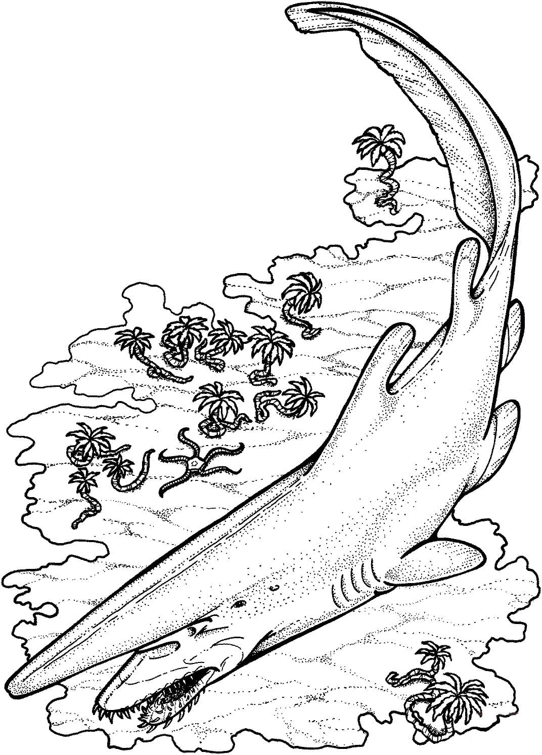 Raskrasil.com-Shark-Coloring-Pages-5