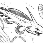 Raskrasil.com-Shark-Coloring-Pages-57