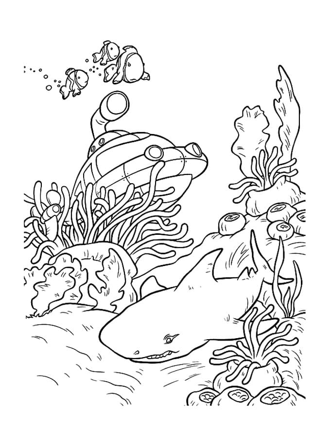 Raskrasil.com-Shark-Coloring-Pages-61