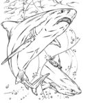 Raskrasil.com-Shark-Coloring-Pages-64