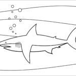 Raskrasil.com-Shark-Coloring-Pages-67