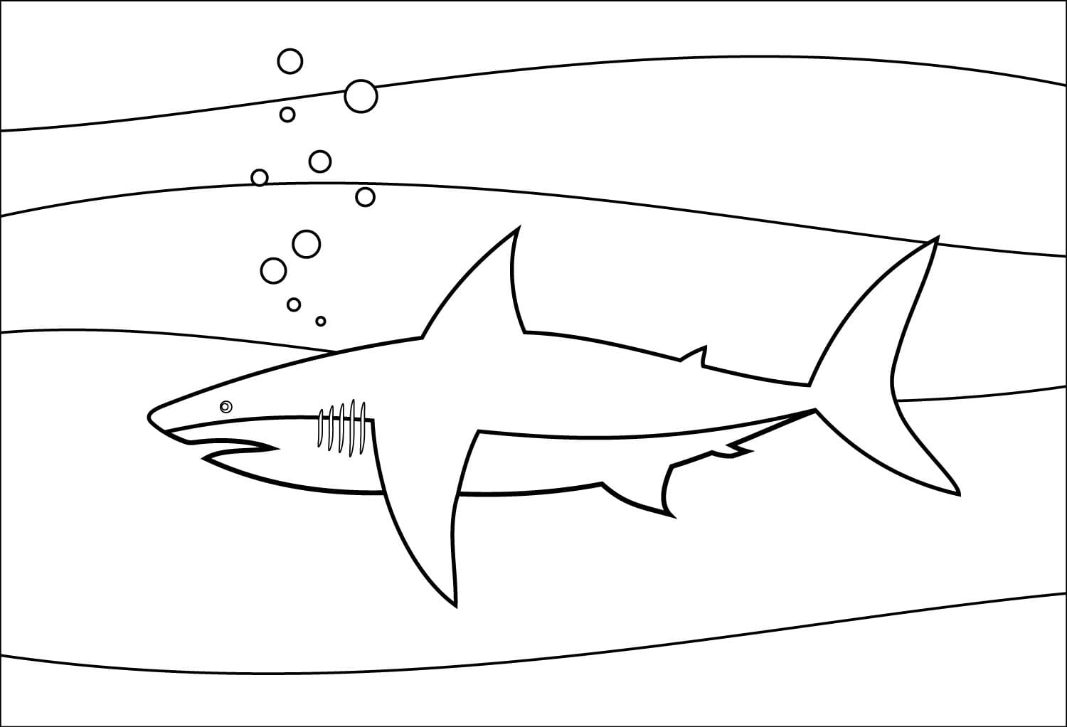 Raskrasil.com-Shark-Coloring-Pages-67