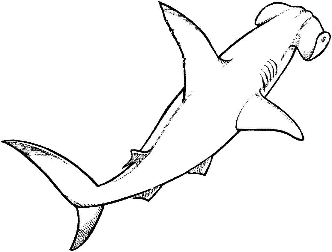 Raskrasil.com-Shark-Coloring-Pages-75