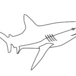 Raskrasil.com-Shark-Coloring-Pages-79
