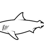 Raskrasil.com-Shark-Coloring-Pages-82