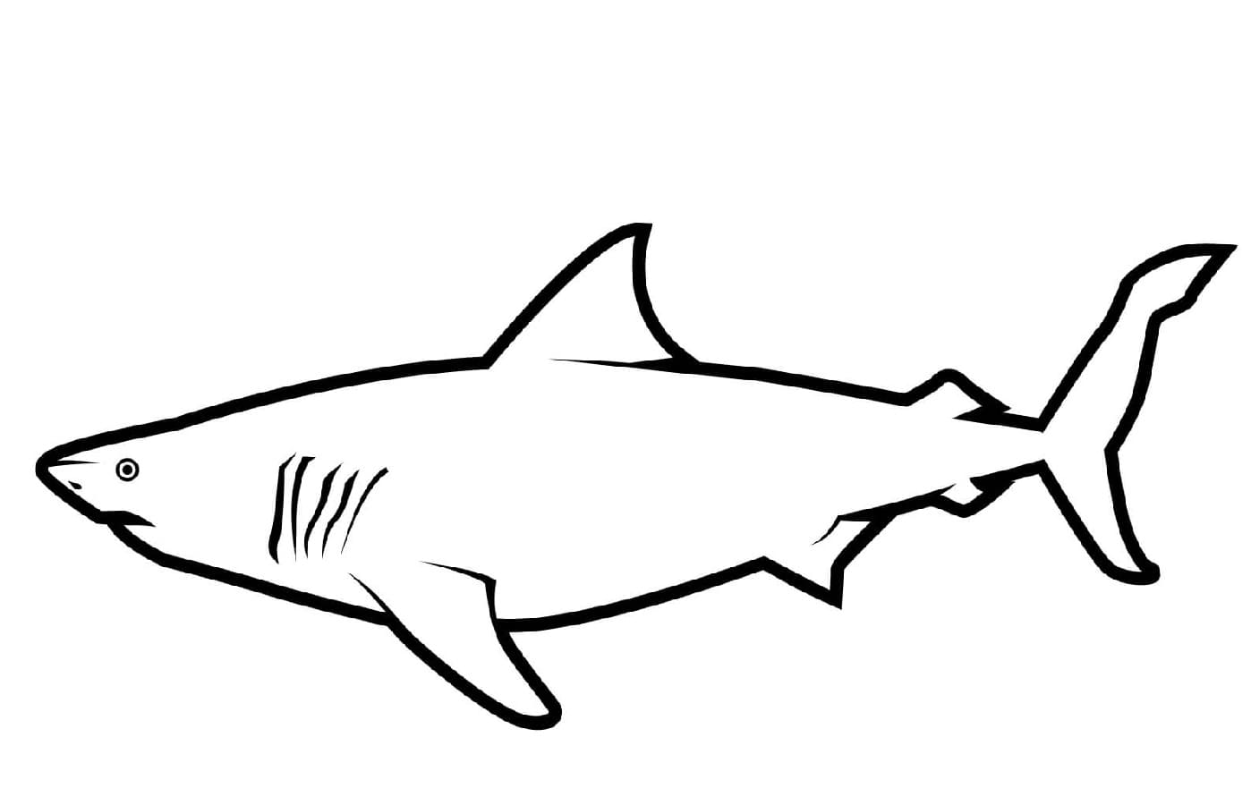 Raskrasil.com-Shark-Coloring-Pages-82