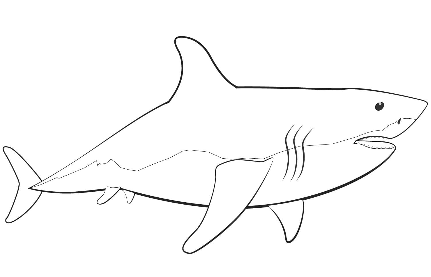 Raskrasil.com-Shark-Coloring-Pages-83