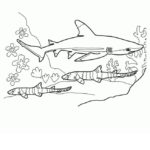 Raskrasil.com-Shark-Coloring-Pages-84