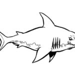 Raskrasil.com-Shark-Coloring-Pages-86