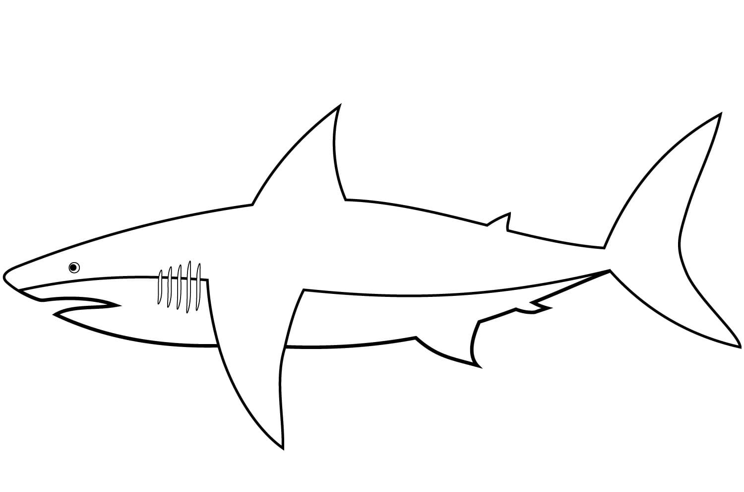 Raskrasil.com-Shark-Coloring-Pages-87