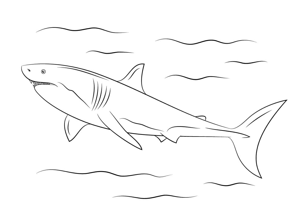 Raskrasil.com-Shark-Coloring-Pages-91