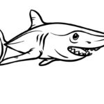 Raskrasil.com-Shark-Coloring-Pages-92