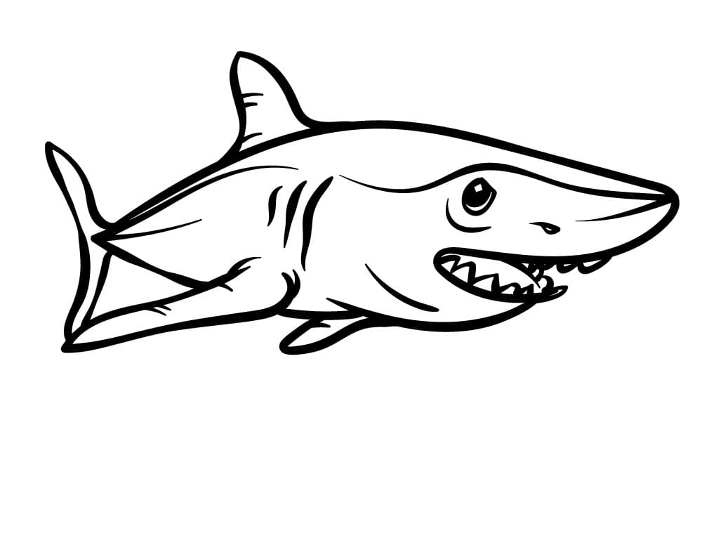 Raskrasil.com-Shark-Coloring-Pages-92