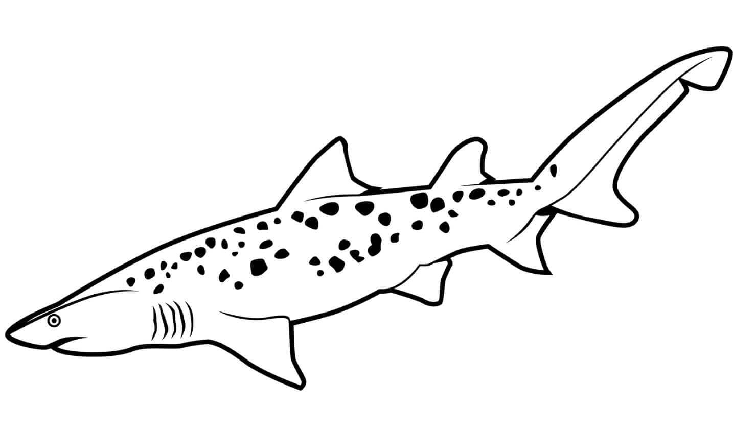 Raskrasil.com-Shark-Coloring-Pages-93