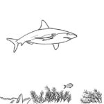 Raskrasil.com-Shark-Coloring-Pages-94