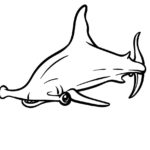 Raskrasil.com-Shark-Coloring-Pages-97