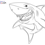 Raskrasil.com-Shark-New-Coloring-Pages-1