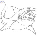 Raskrasil.com-Shark-New-Coloring-Pages-10