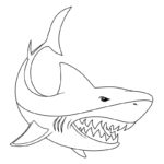 Raskrasil.com-Shark-New-Coloring-Pages-5