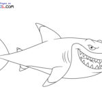Raskrasil.com-Shark-New-Coloring-Pages-7