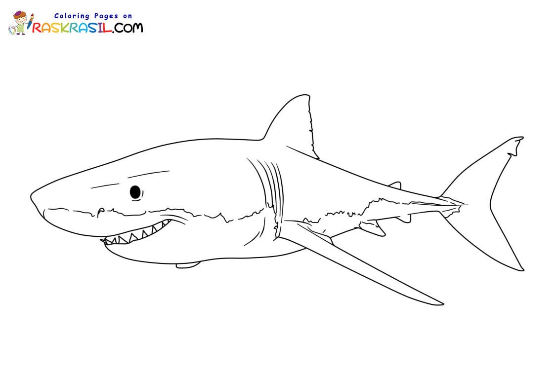 Raskrasil.com-Shark-New-Coloring-Pages-8