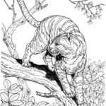 Raskrasil.com-Tiger-Coloring-Pages-2