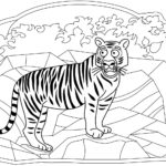 Raskrasil.com-Tiger-Coloring-Pages-22
