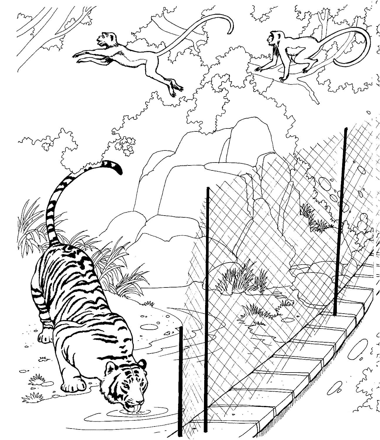 Raskrasil.com-Tiger-Coloring-Pages-3