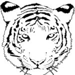 Raskrasil.com-Tiger-Coloring-Pages-30