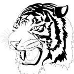 Previous Attachment
