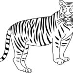 Raskrasil.com-Tiger-Coloring-Pages-39