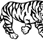 Raskrasil.com-Tiger-Coloring-Pages-47