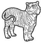 Raskrasil.com-Tiger-Coloring-Pages-48
