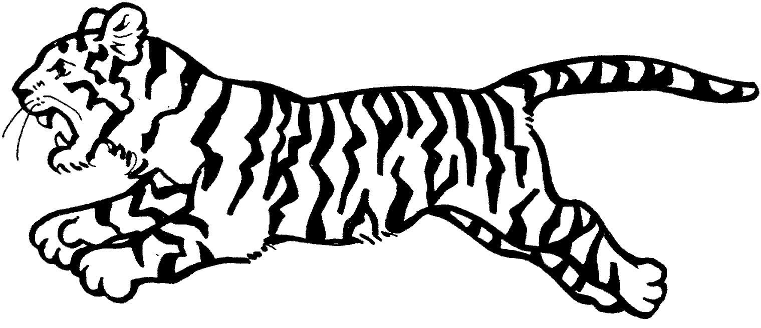 Raskrasil.com-Tiger-Coloring-Pages-58