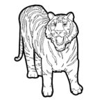 Raskrasil.com-Tiger-Coloring-Pages-65