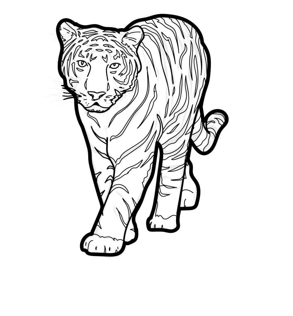 Raskrasil.com-Tiger-Coloring-Pages-70