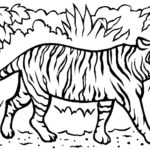 Raskrasil.com-Tiger-Coloring-Pages-71