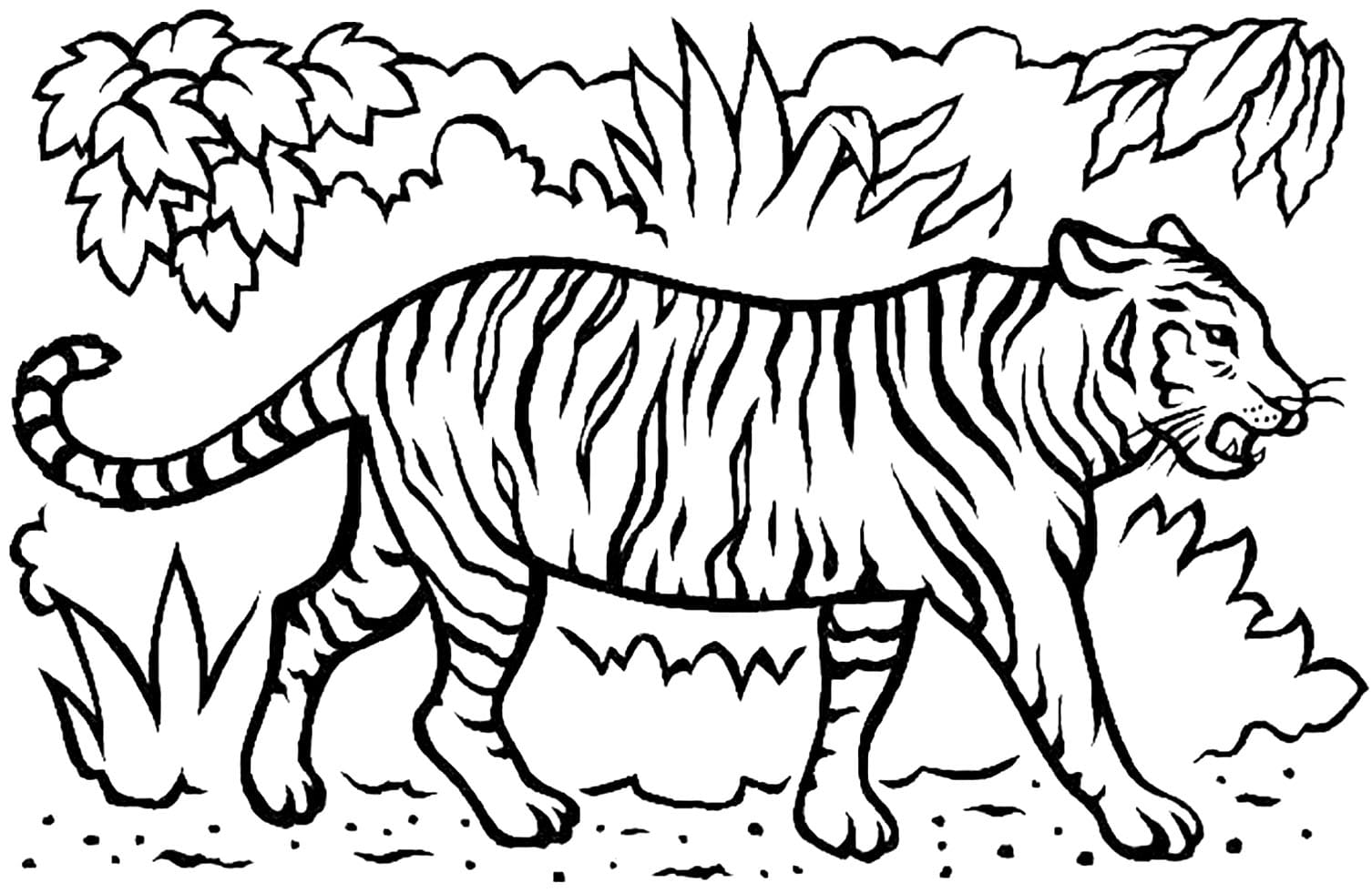 Raskrasil.com-Tiger-Coloring-Pages-71