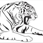 Raskrasil.com-Tiger-Coloring-Pages-89