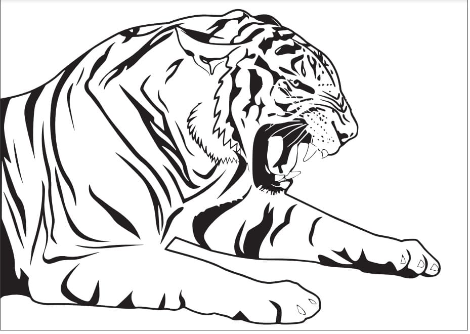 Raskrasil.com-Tiger-Coloring-Pages-89