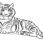 Raskrasil.com-Tiger-Coloring-Pages-92