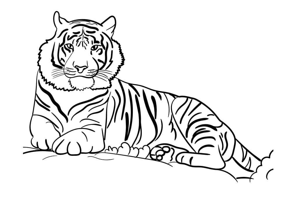 Raskrasil.com-Tiger-Coloring-Pages-92