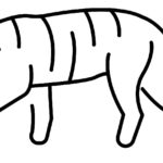 Previous Attachment
